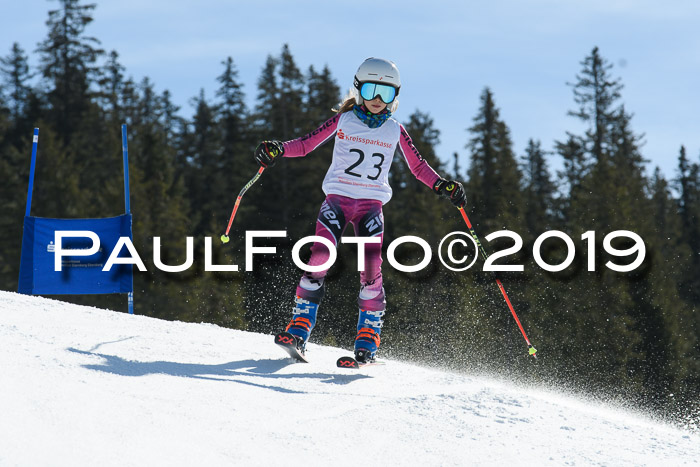 21. SVM Regionalcup-Finale 2019, Kinder, Schüler, Jugend, Erwachsene + Siegerehrungen, 18.03.2018