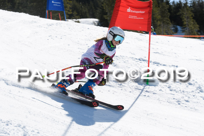 21. SVM Regionalcup-Finale 2019, Kinder, Schüler, Jugend, Erwachsene + Siegerehrungen, 18.03.2018