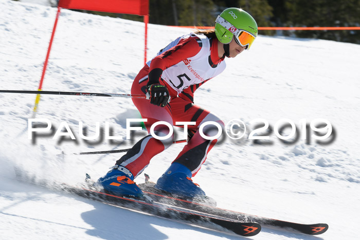 21. SVM Regionalcup-Finale 2019, Kinder, Schüler, Jugend, Erwachsene + Siegerehrungen, 18.03.2018