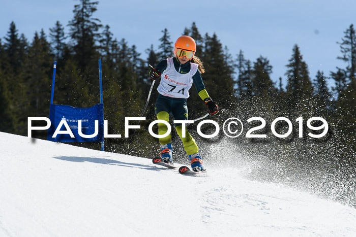 21. SVM Regionalcup-Finale 2019, Kinder, Schüler, Jugend, Erwachsene + Siegerehrungen, 18.03.2018