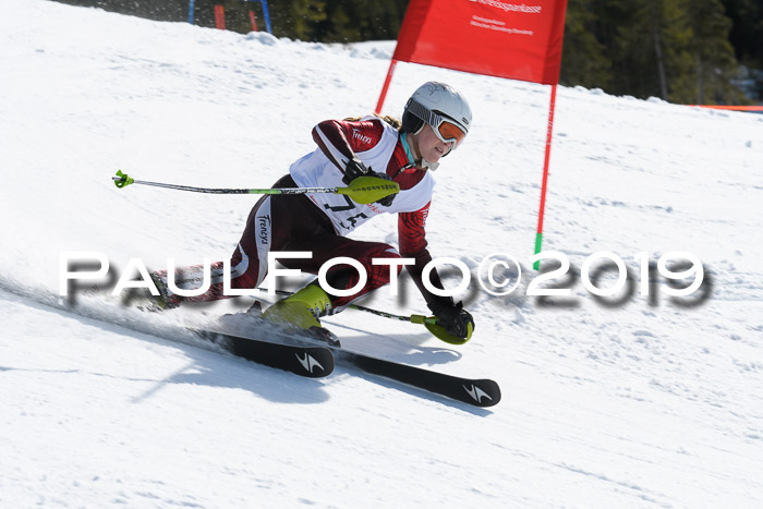 21. SVM Regionalcup-Finale 2019, Kinder, Schüler, Jugend, Erwachsene + Siegerehrungen, 18.03.2018