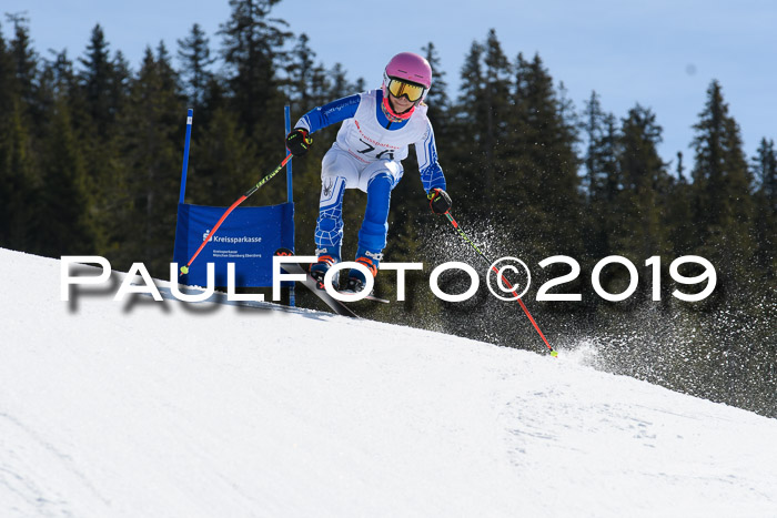 21. SVM Regionalcup-Finale 2019, Kinder, Schüler, Jugend, Erwachsene + Siegerehrungen, 18.03.2018