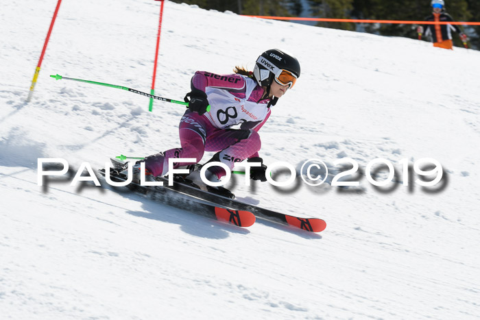 21. SVM Regionalcup-Finale 2019, Kinder, Schüler, Jugend, Erwachsene + Siegerehrungen, 18.03.2018