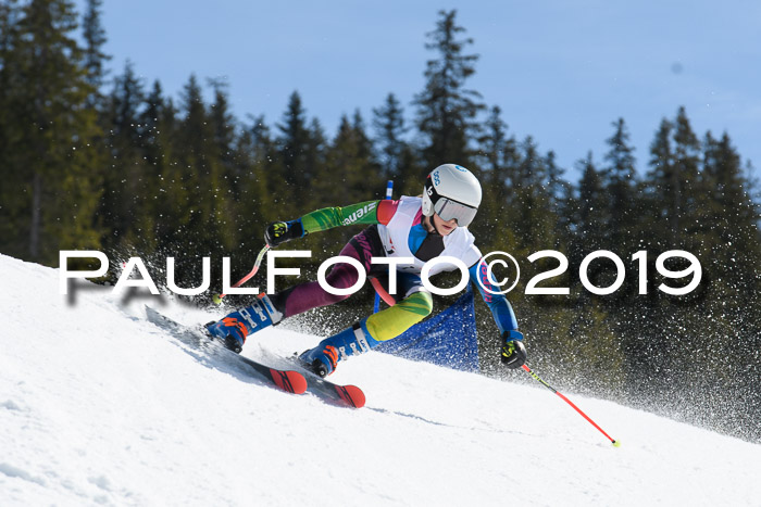 21. SVM Regionalcup-Finale 2019, Kinder, Schüler, Jugend, Erwachsene + Siegerehrungen, 18.03.2018