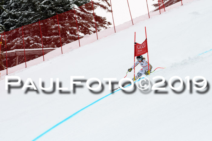 FIS, Int. Dt. Meisterschaft Abfahrt, Training, Damen + Herren, 19.03.2019
