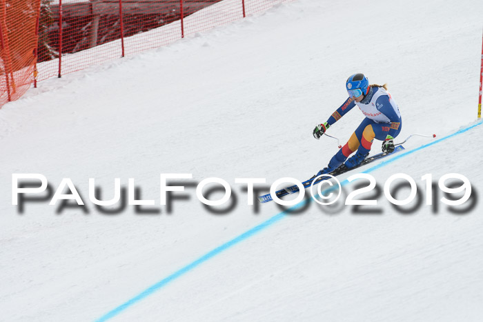 FIS, Int. Dt. Meisterschaft Abfahrt, Training, Damen + Herren, 19.03.2019