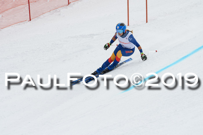 FIS, Int. Dt. Meisterschaft Abfahrt, Training, Damen + Herren, 19.03.2019