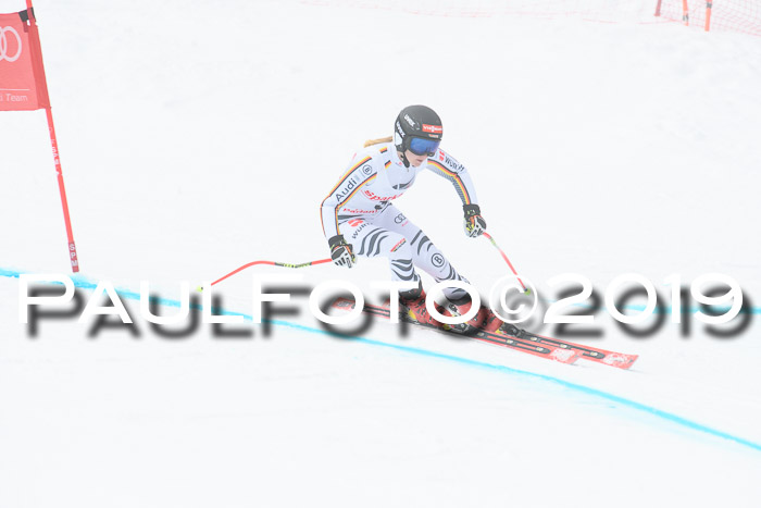 FIS, Int. Dt. Meisterschaft Abfahrt, Training, Damen + Herren, 19.03.2019