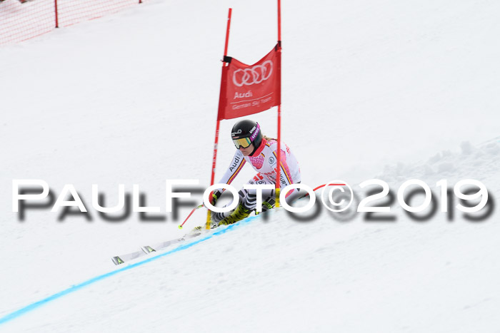 FIS, Int. Dt. Meisterschaft Abfahrt, Training, Damen + Herren, 19.03.2019