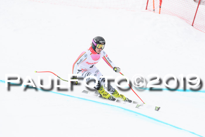 FIS, Int. Dt. Meisterschaft Abfahrt, Training, Damen + Herren, 19.03.2019