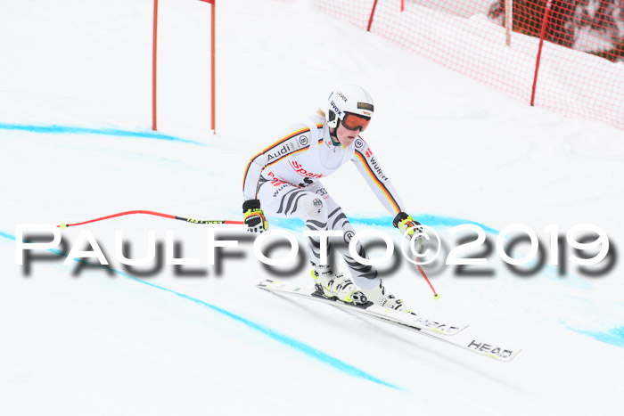 FIS, Int. Dt. Meisterschaft Abfahrt, Training, Damen + Herren, 19.03.2019