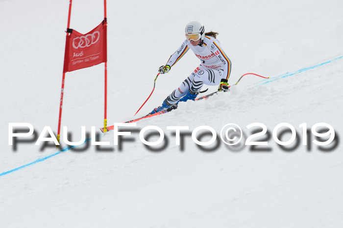 FIS, Int. Dt. Meisterschaft Abfahrt, Training, Damen + Herren, 19.03.2019