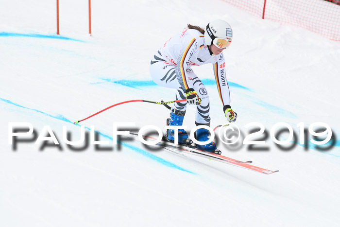FIS, Int. Dt. Meisterschaft Abfahrt, Training, Damen + Herren, 19.03.2019