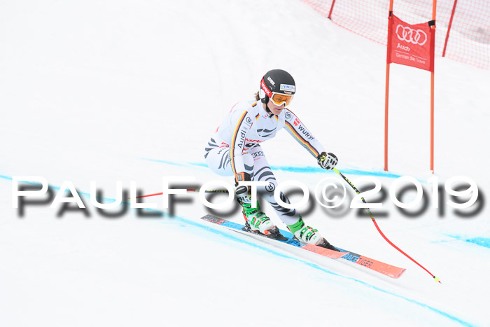 FIS, Int. Dt. Meisterschaft Abfahrt, Training, Damen + Herren, 19.03.2019