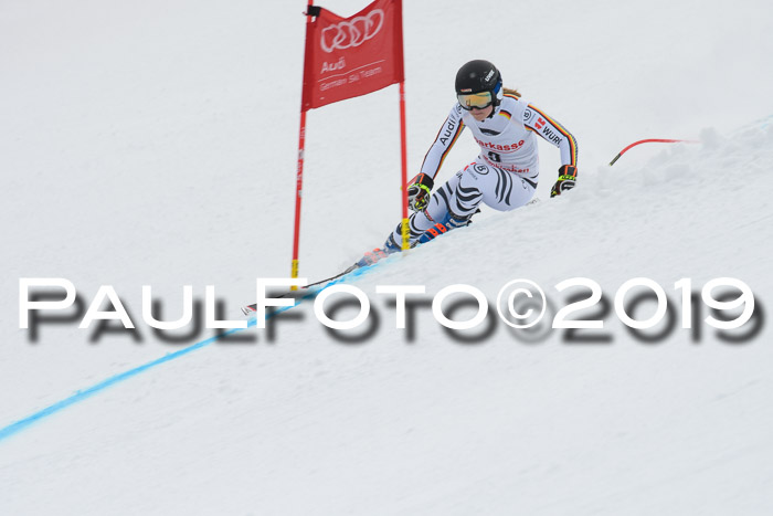 FIS, Int. Dt. Meisterschaft Abfahrt, Training, Damen + Herren, 19.03.2019