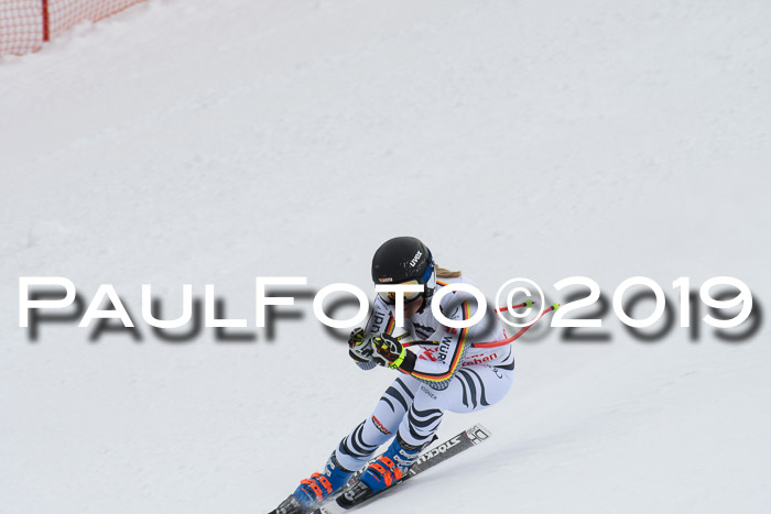 FIS, Int. Dt. Meisterschaft Abfahrt, Training, Damen + Herren, 19.03.2019