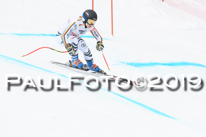 FIS, Int. Dt. Meisterschaft Abfahrt, Training, Damen + Herren, 19.03.2019