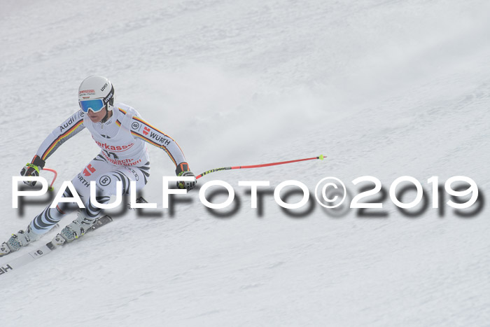 FIS, Int. Dt. Meisterschaft Abfahrt, Training, Damen + Herren, 19.03.2019