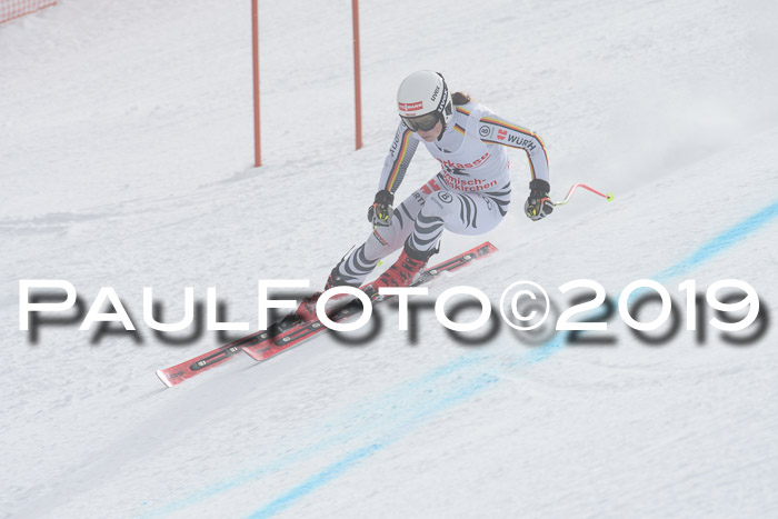FIS, Int. Dt. Meisterschaft Abfahrt, Training, Damen + Herren, 19.03.2019