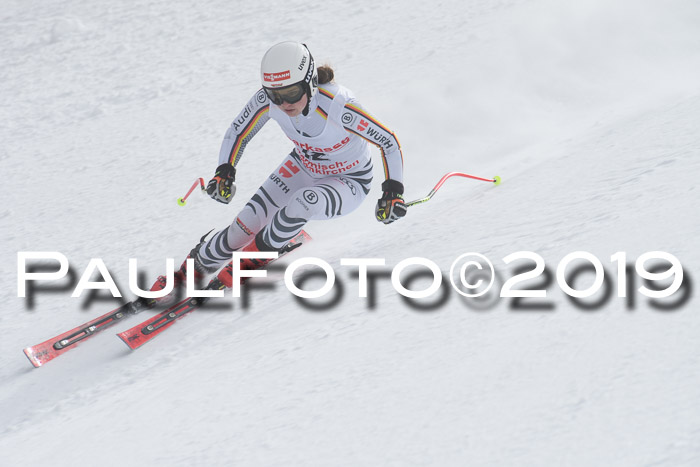FIS, Int. Dt. Meisterschaft Abfahrt, Training, Damen + Herren, 19.03.2019