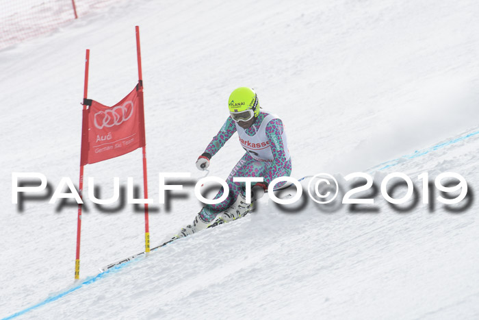 FIS, Int. Dt. Meisterschaft Abfahrt, Training, Damen + Herren, 19.03.2019