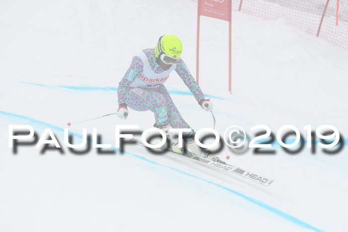 FIS, Int. Dt. Meisterschaft Abfahrt, Training, Damen + Herren, 19.03.2019