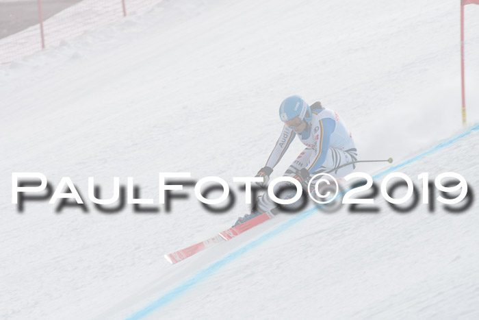 FIS, Int. Dt. Meisterschaft Abfahrt, Training, Damen + Herren, 19.03.2019