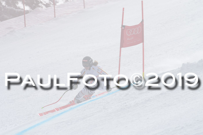 FIS, Int. Dt. Meisterschaft Abfahrt, Training, Damen + Herren, 19.03.2019