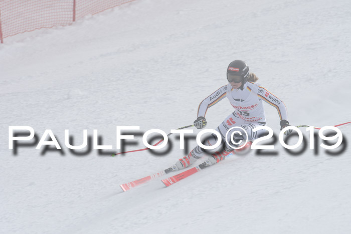 FIS, Int. Dt. Meisterschaft Abfahrt, Training, Damen + Herren, 19.03.2019