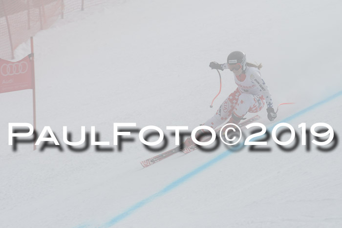 FIS, Int. Dt. Meisterschaft Abfahrt, Training, Damen + Herren, 19.03.2019