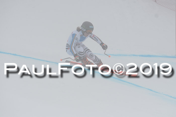 FIS, Int. Dt. Meisterschaft Abfahrt, Training, Damen + Herren, 19.03.2019
