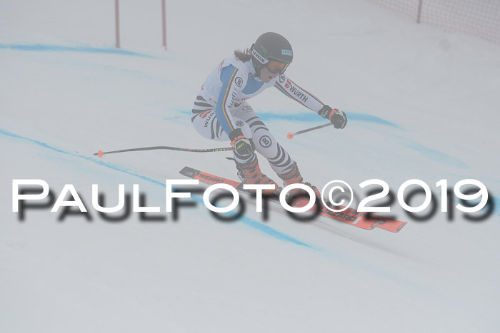 FIS, Int. Dt. Meisterschaft Abfahrt, Training, Damen + Herren, 19.03.2019
