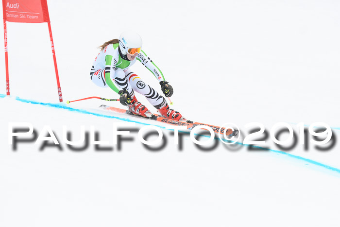 FIS, Int. Dt. Meisterschaft Abfahrt, Training, Damen + Herren, 19.03.2019