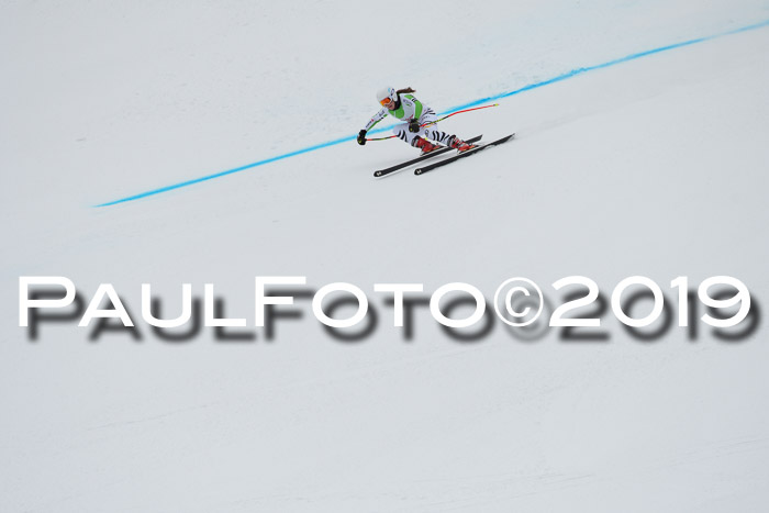 FIS, Int. Dt. Meisterschaft Abfahrt, Training, Damen + Herren, 19.03.2019