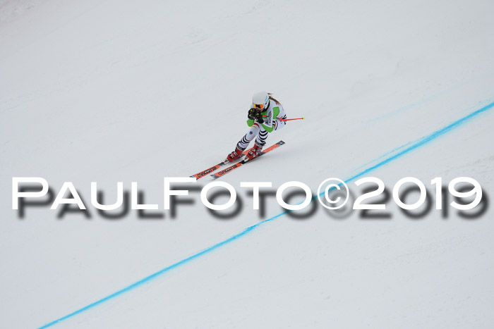 FIS, Int. Dt. Meisterschaft Abfahrt, Training, Damen + Herren, 19.03.2019