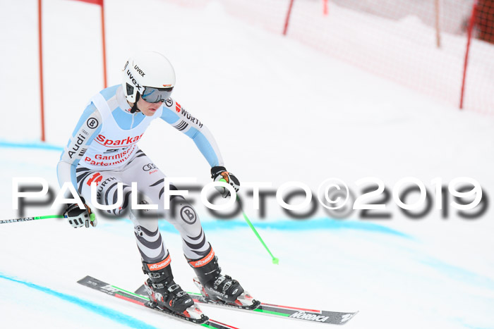 FIS, Int. Dt. Meisterschaft Abfahrt, Training, Damen + Herren, 19.03.2019