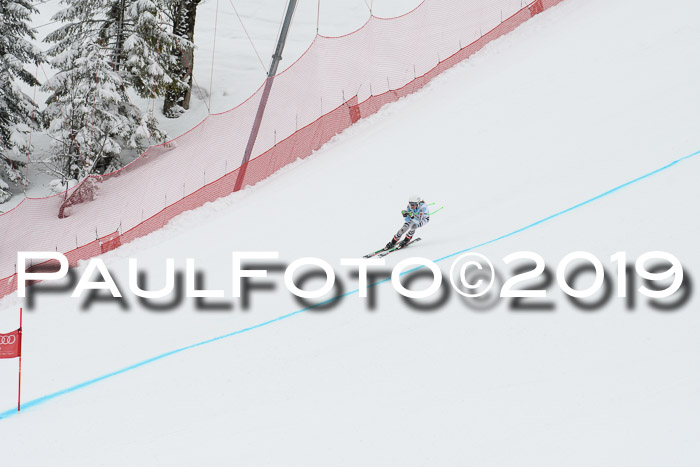 FIS, Int. Dt. Meisterschaft Abfahrt, Training, Damen + Herren, 19.03.2019