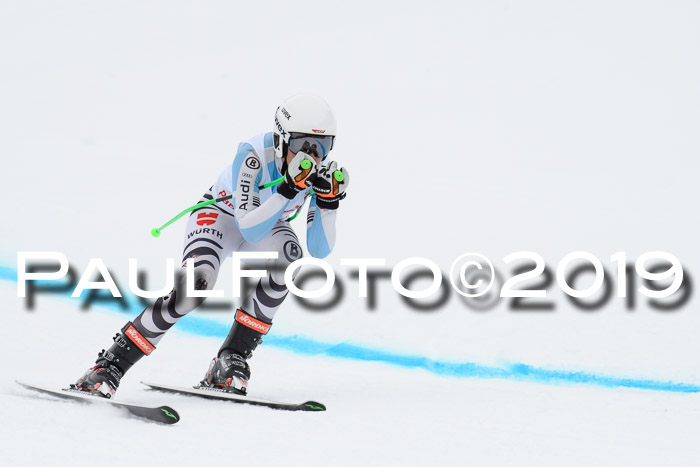 FIS, Int. Dt. Meisterschaft Abfahrt, Training, Damen + Herren, 19.03.2019