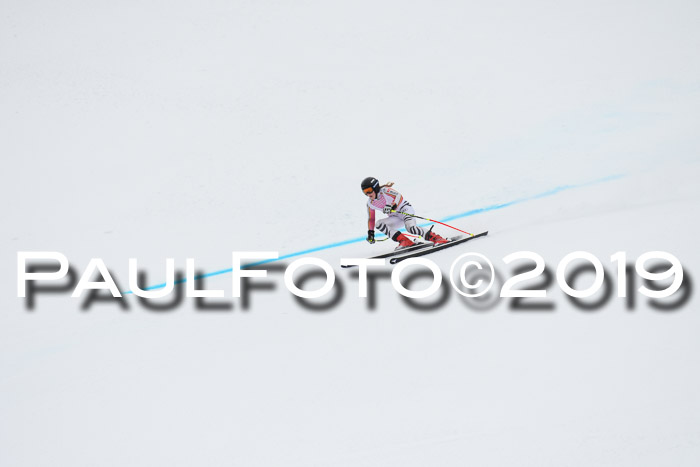FIS, Int. Dt. Meisterschaft Abfahrt, Training, Damen + Herren, 19.03.2019