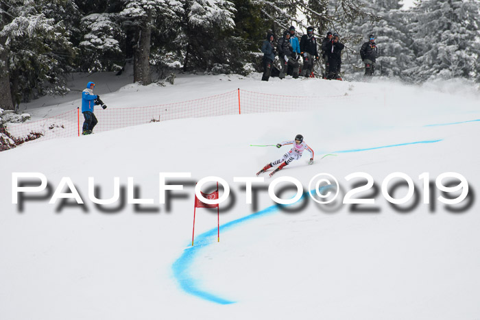 FIS, Int. Dt. Meisterschaft Abfahrt, Training, Damen + Herren, 19.03.2019
