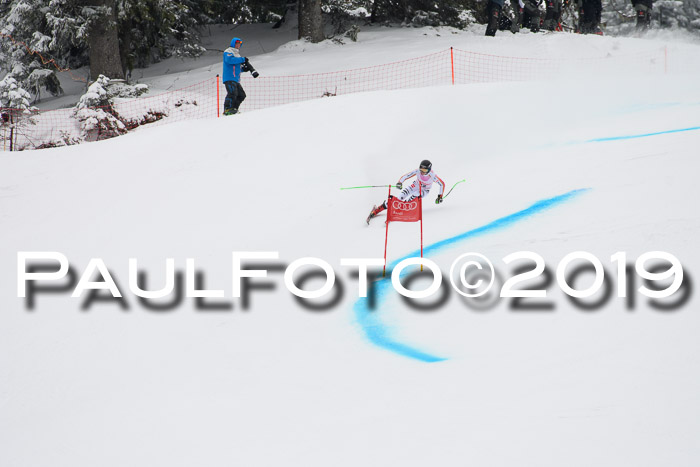 FIS, Int. Dt. Meisterschaft Abfahrt, Training, Damen + Herren, 19.03.2019