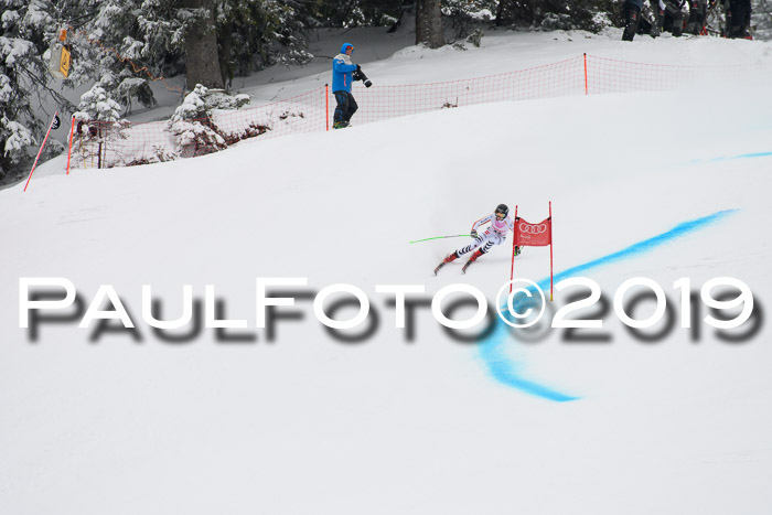FIS, Int. Dt. Meisterschaft Abfahrt, Training, Damen + Herren, 19.03.2019