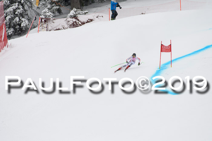 FIS, Int. Dt. Meisterschaft Abfahrt, Training, Damen + Herren, 19.03.2019