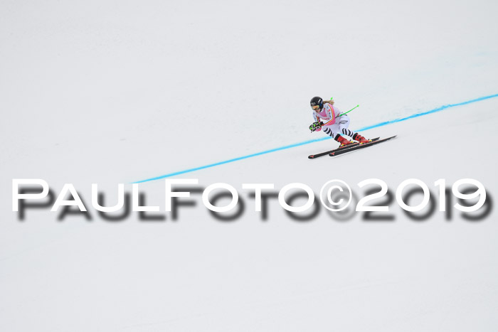 FIS, Int. Dt. Meisterschaft Abfahrt, Training, Damen + Herren, 19.03.2019
