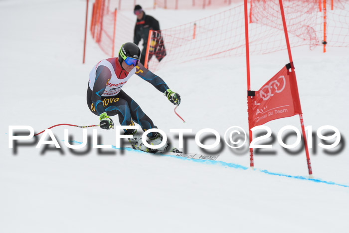 FIS, Int. Dt. Meisterschaft Abfahrt, Training, Damen + Herren, 19.03.2019