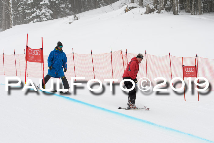 FIS, Int. Dt. Meisterschaft Abfahrt, Training, Damen + Herren, 19.03.2019