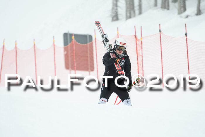 FIS, Int. Dt. Meisterschaft Abfahrt, Training, Damen + Herren, 19.03.2019