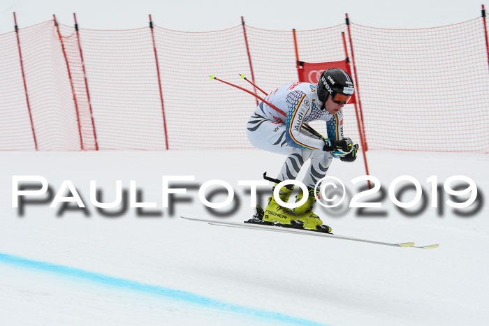 FIS, Int. Dt. Meisterschaft Abfahrt, Training, Damen + Herren, 19.03.2019
