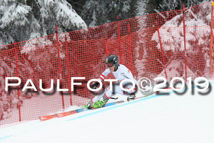 FIS, Int. Dt. Meisterschaft Abfahrt, Training, Damen + Herren, 19.03.2019