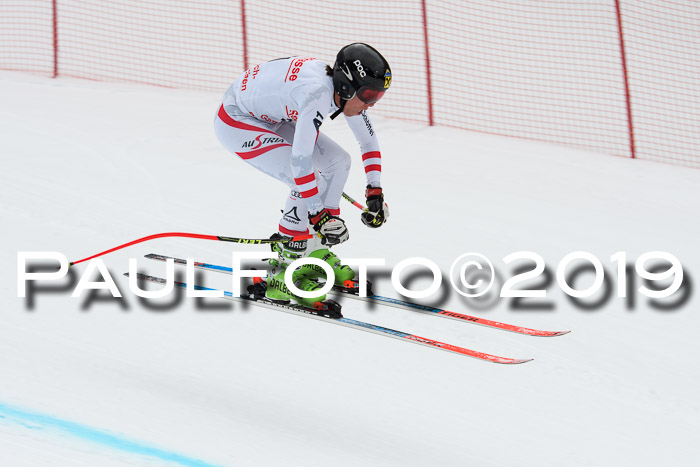FIS, Int. Dt. Meisterschaft Abfahrt, Training, Damen + Herren, 19.03.2019